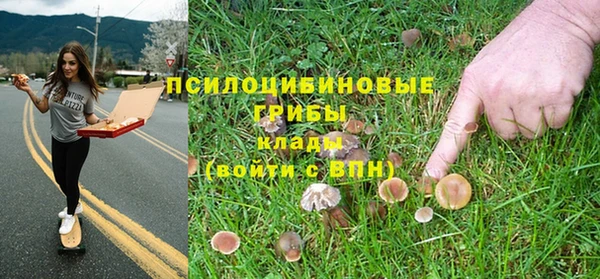 прущие крисы Балабаново