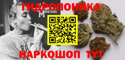 прущие крисы Жуковский