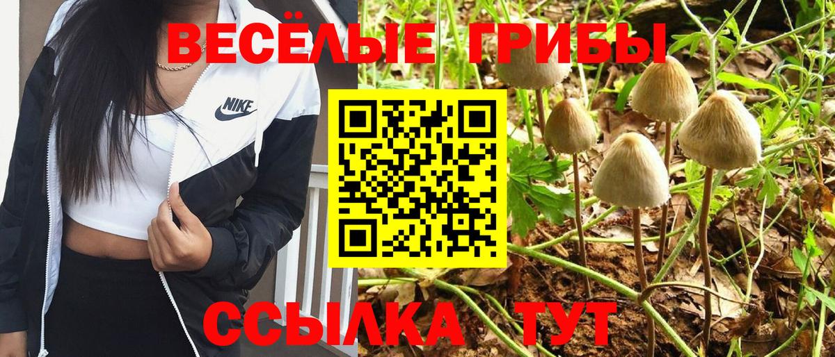 Псилоцибиновые грибы MAGIC MUSHROOMS Тольятти