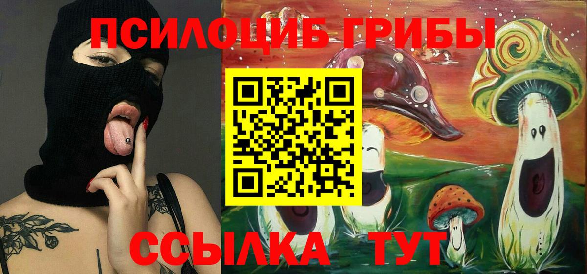 Тольятти  Галлюциногенные грибы Psilocybine cubensis  Вход с VPN 